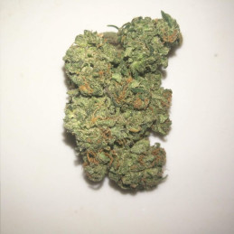 CBG-Force
