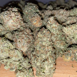 Skywalker Haze